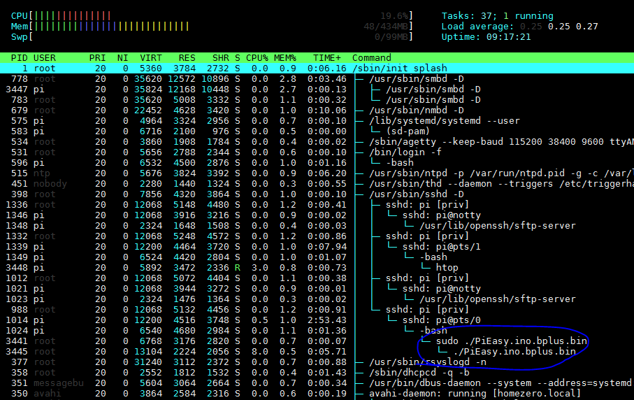 HTOP with the process running ...
